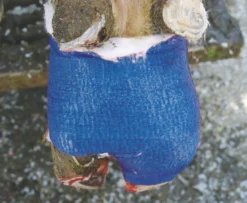 KERBL Klauenbandage Vetlastic