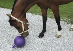 KERBL Pferdespielball
