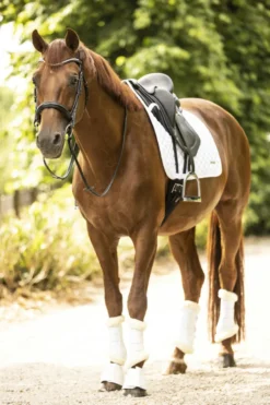 LAMI-CELL Classic Sattelpad