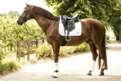 LAMI-CELL Classic Sattelpad