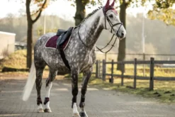 LAMI-CELL Elegance Fliegenhaube