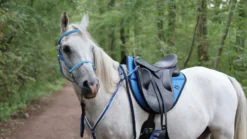 LAMI-CELL - New endurance - Schabracken