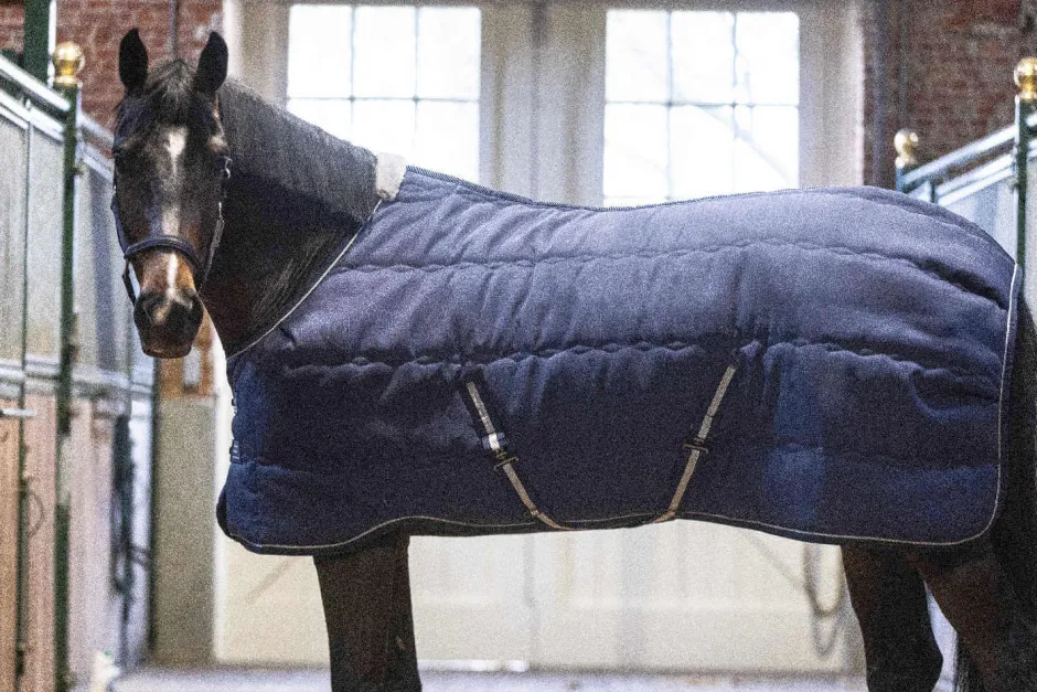LAMI-CELL Stalldecke - Stable Master