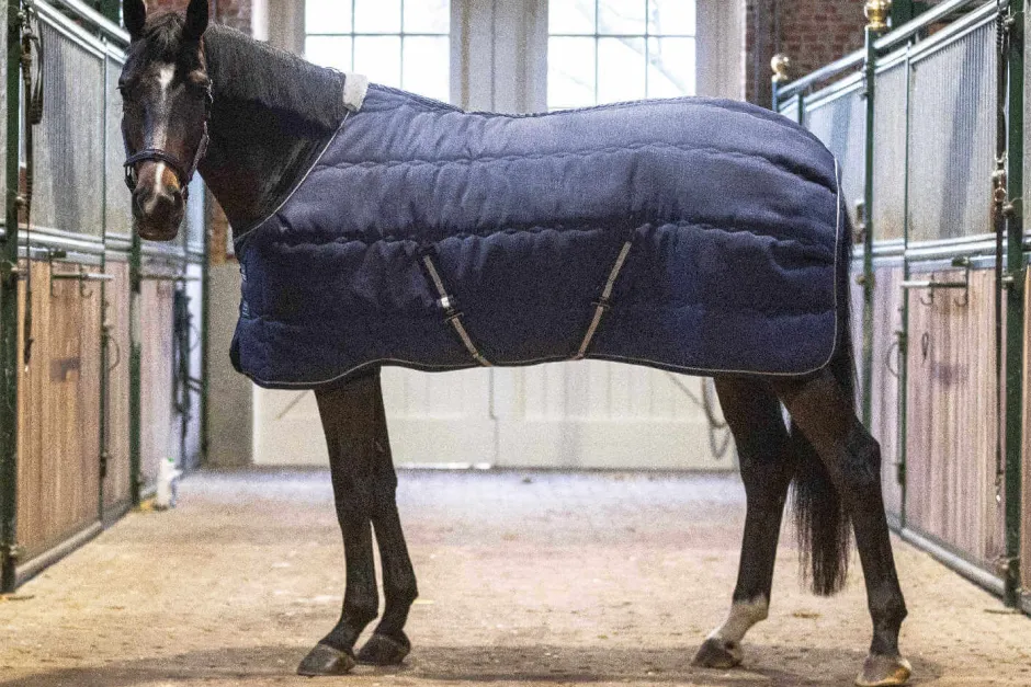 LAMI-CELL Stalldecke - Stable Master