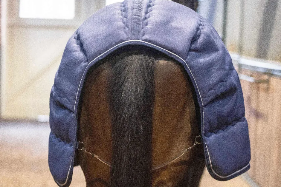 LAMI-CELL Stalldecke - Stable Master