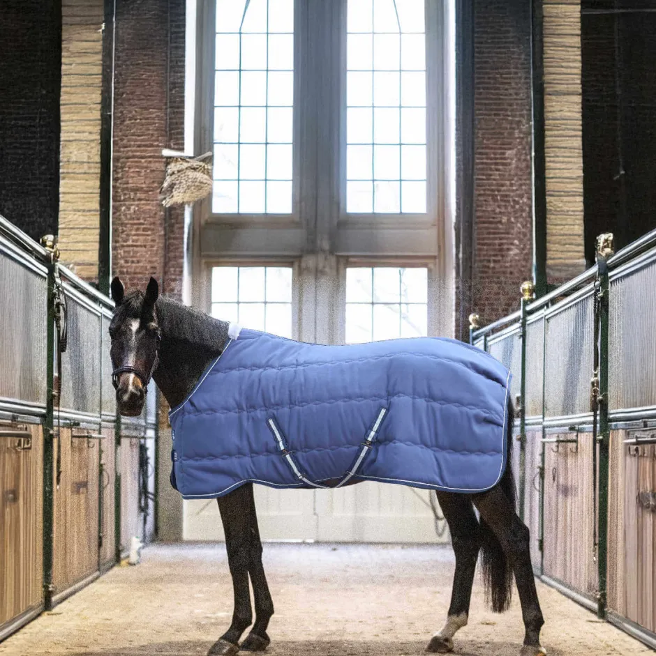 LAMI-CELL Stalldecke - Stable Master