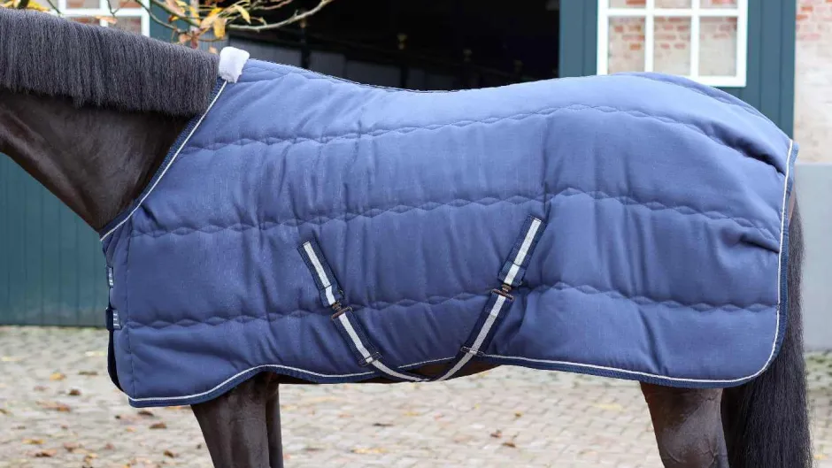 LAMI-CELL Stalldecke - Stable Master
