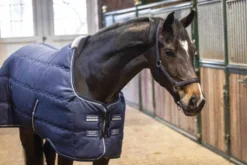LAMI-CELL Stalldecke - Stable Master