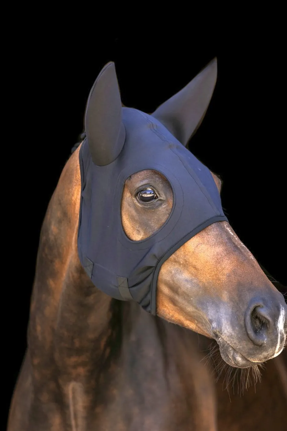 LAMI-CELL Titanium Fliegenhaube