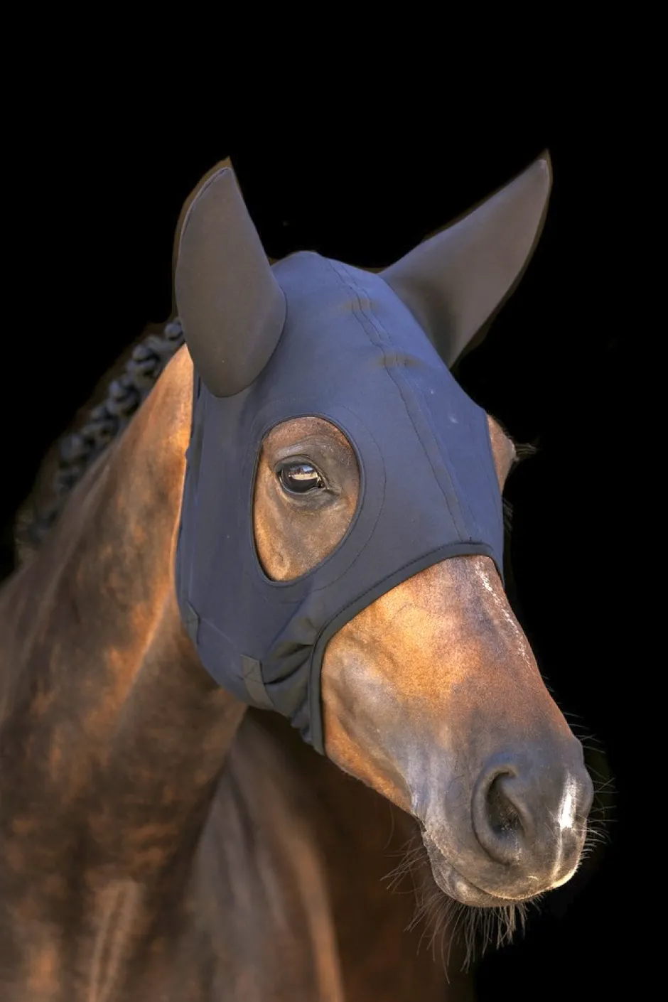 LAMI-CELL Titanium Fliegenhaube