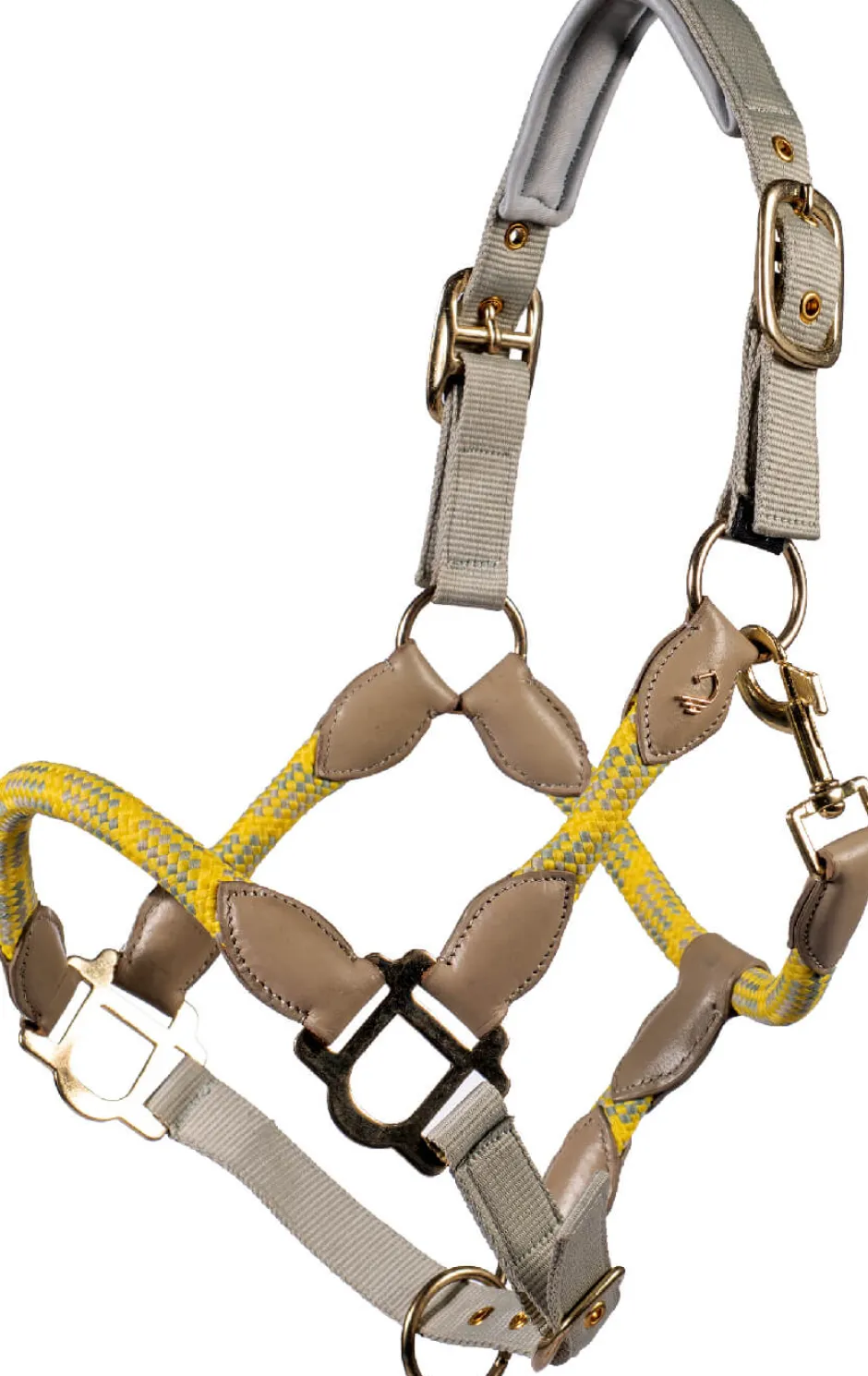 LAURIA GARRELLI by HKM Halfter -Limone Sportive-
