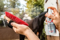 Leovet ERSTE HILFE Desinfektionsspray, 200 ml Flasche