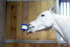 LIKIT Leckerbissen