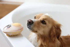 MagicBrush Badebürste