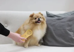 MagicBrush Dog