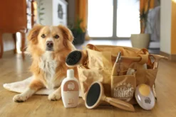 MagicBrush Hundeshampoo Universal