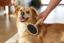 MagicBrush Softzupfbürste