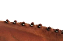 Mähnengummis