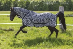 Netzdecke RIDING WORLD Combo