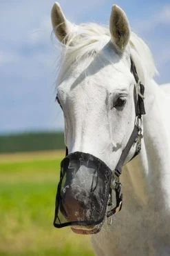 Netzfliegen Nüsternschutz, Warmblut, schwarz