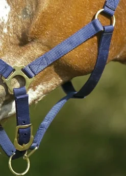 NORTON Doppelt gelegtes Nylonhalfter mit Schnallen