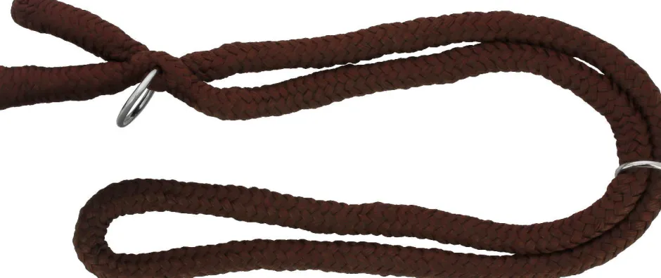 NORTON Ethologisches Halsband