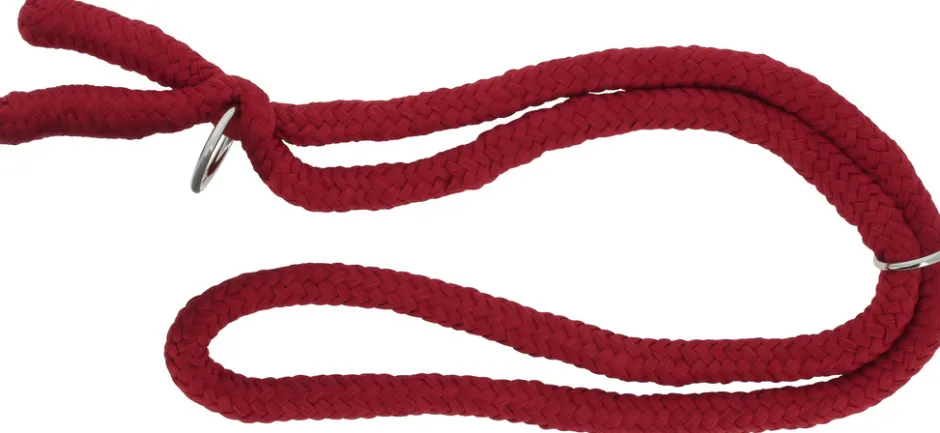 NORTON Ethologisches Halsband