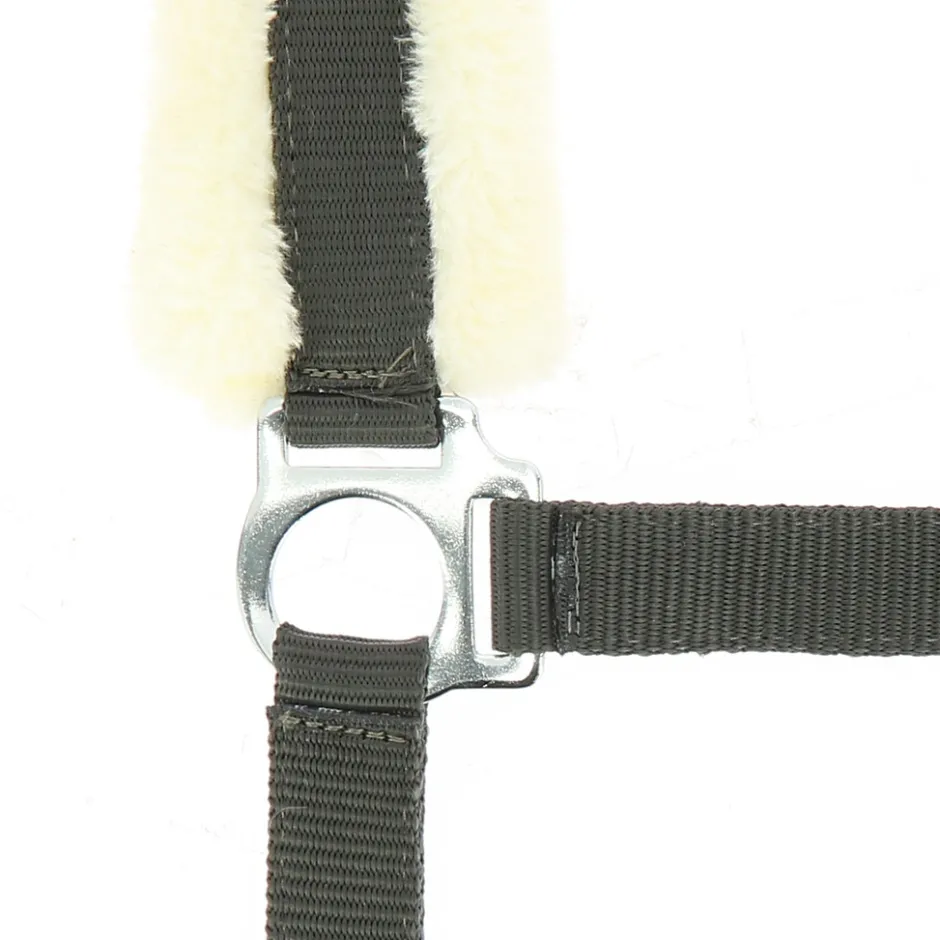 NORTON Halfter „Mouton synthétique doux“ synthetisches Lammfell