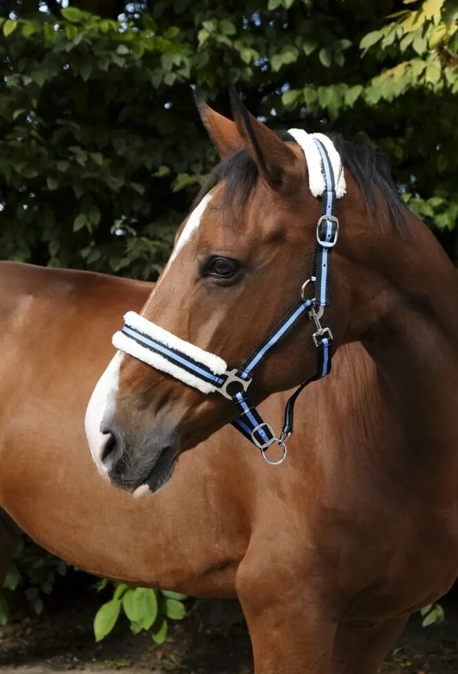 NORTON Halfter „Mouton synthétique doux“ synthetisches Lammfell