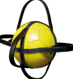 NORTON Hülle für Horse-Ball