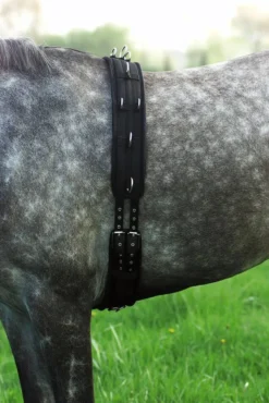 NORTON Longiergurt, Kunststoff, schwarz