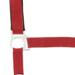 NORTON Nylon Halfter Neopren unterlegt
