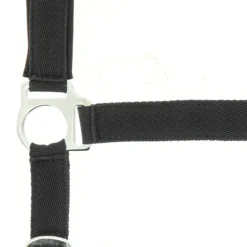 NORTON Nylon Halfter Neopren unterlegt