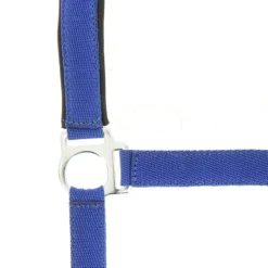 NORTON Nylon Halfter Neopren unterlegt