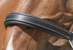 NORTON PRO „Grooming“ Lederhalfter