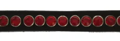 NORTON PRO Stirnriemen Strass