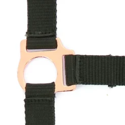 NORTON „Roségold“ Halfter und Führstrick
