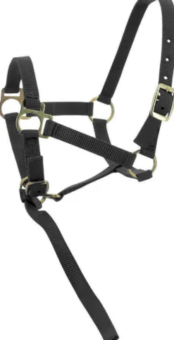 Nylonhalfter