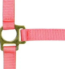 Nylonhalfter