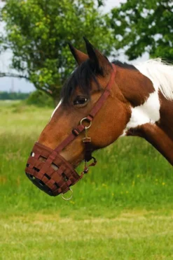 Nylonmaulkorb HIPPOTONIC