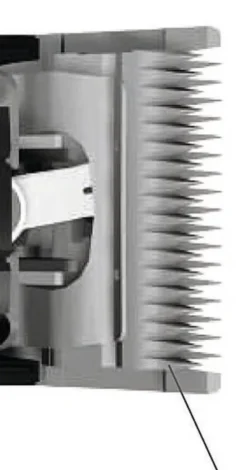 OSTER Schermaschine A6
