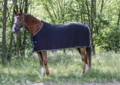 Polarfleecedecke RIDING WORLD