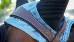 PRO SERIES Fliegenhaube - Combo Master