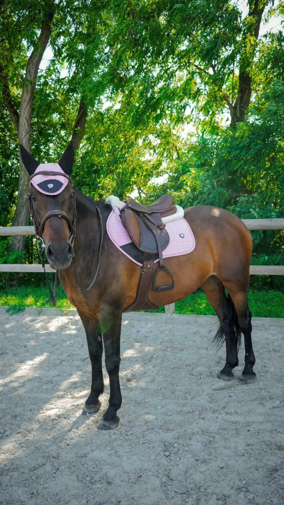 PRO SERIES Fliegenhaube - Combo Master