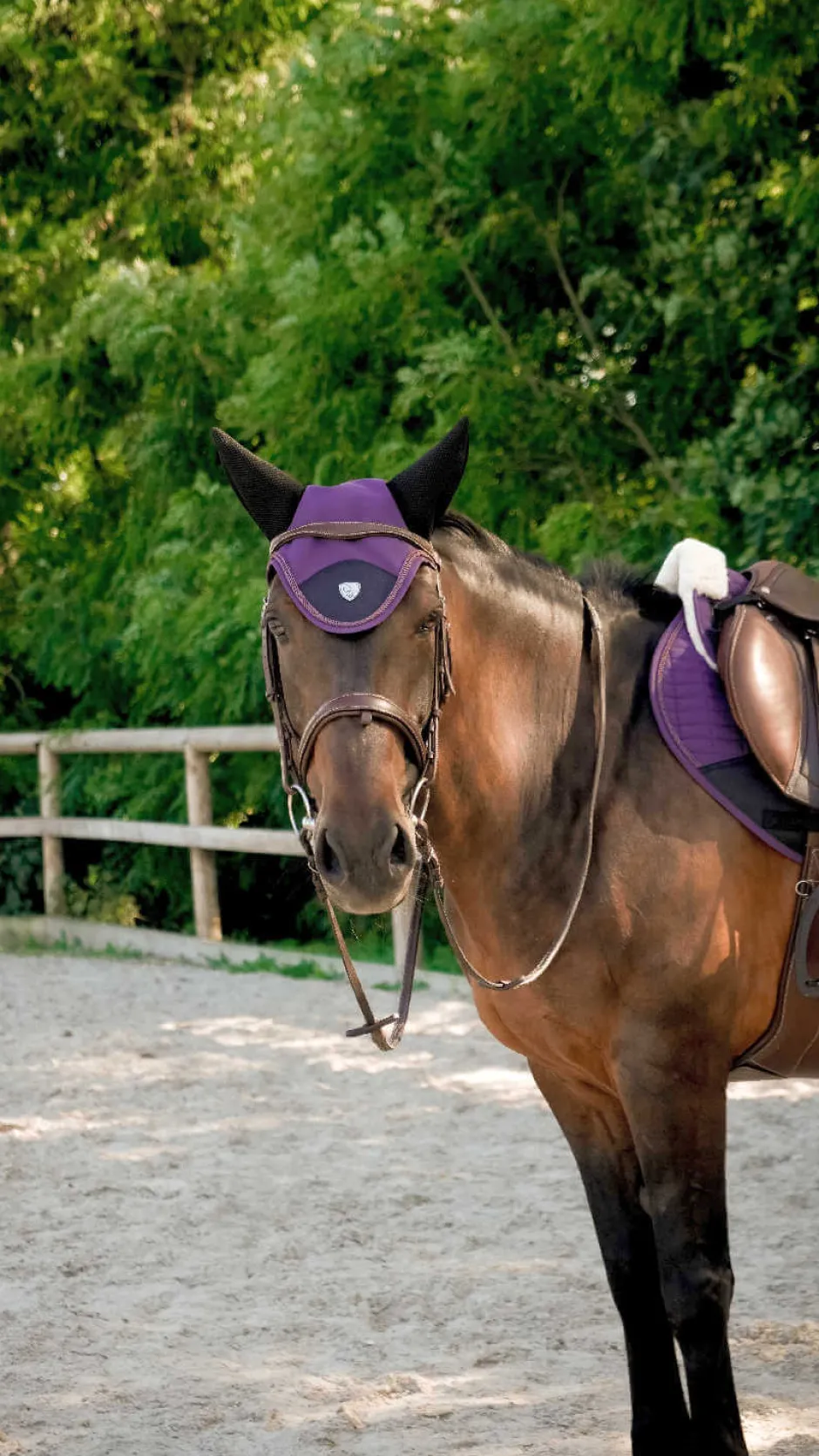 PRO SERIES Fliegenhaube - Combo Master