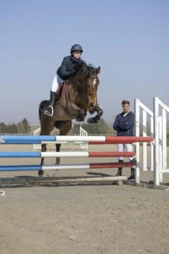 PRO SERIES Jacke Equilibre