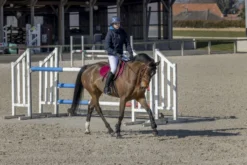 PRO SERIES Jacke Equilibre