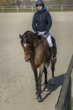PRO SERIES Jacke Equilibre