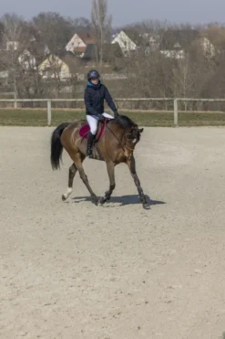 PRO SERIES Jacke Equilibre