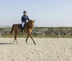 PRO SERIES Steppjacke Diagonal